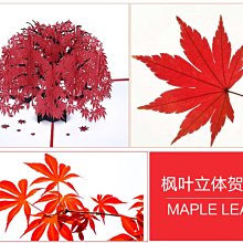 +卡賓小白鞋男款鞋子薄款板鞋夏季透氣男鞋輕便網鞋男士休閑軟底鞋 歷史價格詳細信息