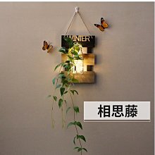 ins風掛飾 乾燥花壁飾編織掛毯壁飾 客廳佈置牆面裝飾壁掛臥室掛件 歷史價格詳細信息