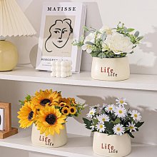 綠假腿褲愛爾蘭四葉草聖派屈克節背人褲 歷史價格詳細信息