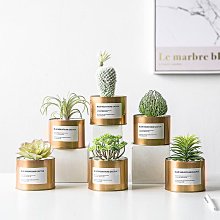 迷你擺飾品 歐風茶具組 有磁性（可能是早期台灣外銷品） 歷史價格詳細信息