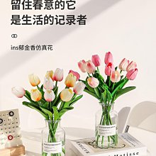 花瓶擺件客廳插花乾花裝飾北歐ins小陶瓷餐桌電視櫃家居飾品輕奢 歷史價格詳細信息