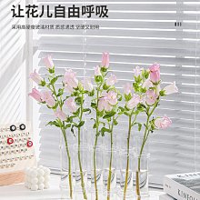 試管花瓶擺件客廳插花玻璃透明水養網紅一排花瓶餐桌鮮花水培花器半米潮殼直購 價格比較,價格查詢,歷史價格詳細信息