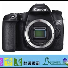 彩色鳥 (相機出租 鏡頭出租) Canon EOS 7D (APS-C旗艦機+每秒8張高速連拍) 歷史價格詳細信息