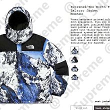 Supreme The North Face Mountain Parka 歷史價格詳細信息