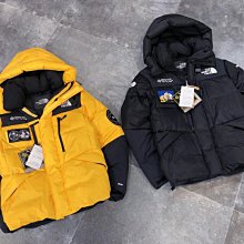 北臉TNF腦死亡 Brain Dead x The North Face Retro Nuptse Jacket 聯名 羽絨服 歷史價格詳細信息