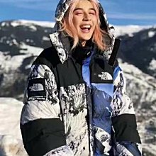 The North Face MOUNTAIN LIGHT 男 防水透氣外套 綠迷彩 NF0A5B3936D 歷史價格詳細信息