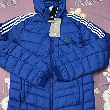 全新◎有吊牌◎ABEL FOXS◎L碼女版車褲3D一體凹槽抗菌排汗透氣坐墊自行車褲~極致柔，減震設計~ 歷史價格詳細信息