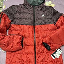 全新◎有吊牌◎ABEL FOXS◎L碼女版車褲3D一體凹槽抗菌排汗透氣坐墊自行車褲~極致柔，減震設計~ 歷史價格詳細信息