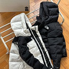 北臉TNF腦死亡 Brain Dead x The North Face Retro Nuptse Jacket 聯名 羽絨服 歷史價格詳細信息