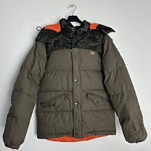 LACOSTER 綠標 男裝4號 淺橘粉色 歷史價格詳細信息