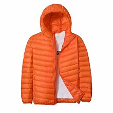 輕薄外套時尚大碼冬季短款保暖春秋款男男裝2024羽絨服百搭白鴨絨 歷史價格詳細信息