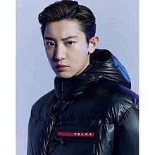 羽絨服 紅袖高級感大牌羽絨服冬季新款女裝正肩雙拉鏈立領連帽長外套 歷史價格詳細信息