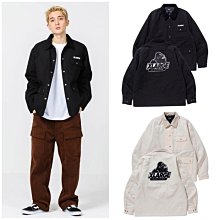 Large外出繩 裸裝版(附DVD) 歷史價格詳細信息