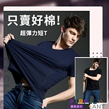 M星球【貼心寵兒】柔軟床 睡墊 可挑色  貓 狗 天竺鼠 兔子 小寵物用品 歷史價格詳細信息