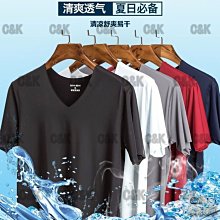 夏季男裝衣服青短袖T恤男大碼韓版修身翻領條紋半袖polo衫上衣-正正男裝 歷史價格詳細信息