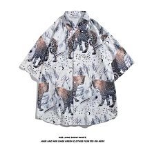 巴西木開花水養幸運木情侶款水培植物巴旦木室內可開花綠植盆栽 歷史價格詳細信息