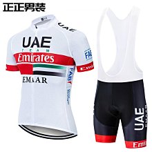 男士 Ropa Ciclismo 夏季騎行服高品質復古自行車球衣短袖自行車自行車服裝~安欣好物 歷史價格詳細信息