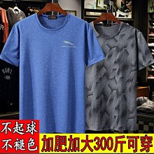 大尺碼男裝夏裝珠地網純棉Polo R L色 男polo短袖T恤翻領寬鬆休閒小馬標 歷史價格詳細信息