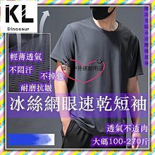 排汗衣 冰絲網眼男士短袖T恤 吸溼透氣速乾短袖 寬鬆加肥加大尺碼 休閒衫運動短袖T恤 排汗衫強推 歷史價格詳細信息