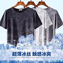 情侶速乾涼感衣 運動上衣 跑步訓練衣 吸濕透氣 涼感衣 排汗速乾衣 情侶裝 排汗衫 機能健身衣【FN013】 歷史價格詳細信息