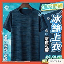 冰絲速乾t恤工作服男短袖訂製印logo團體廣告文化衫廠服工裝夏季-至簡原創 歷史價格詳細信息