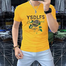 夏季短袖t恤男士圓領絲光棉潮流精神小夥半袖上衣修身時尚 歷史價格詳細信息