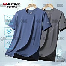 冰絲短袖polo衫男夏季薄款透氣五分袖t恤高級感潮牌美式半袖上衣-KBY科貝 歷史價格詳細信息