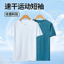 排汗衣 冰絲網眼男士短袖T恤 吸溼透氣速乾短袖 寬鬆加肥加大尺碼 休閒衫運動短袖T恤 排汗衫強推 歷史價格詳細信息