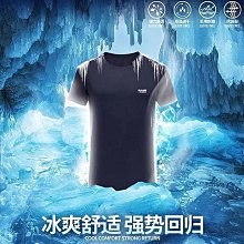 排汗衣 冰絲網眼男士短袖T恤 吸溼透氣速乾短袖 寬鬆加肥加大尺碼 休閒衫運動短袖T恤 排汗衫強推 歷史價格詳細信息