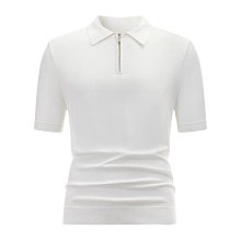 短袖POLO衫男 短袖男士 短袖上衣男生 專柜polo衫男士短袖純色t恤2024夏季休閑商務翻領透氣-22號穿搭 歷史價格詳細信息