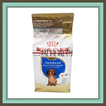 ◎三塊錢寵物◎法國皇家-小型幼犬(MNP)，2kg 歷史價格詳細信息