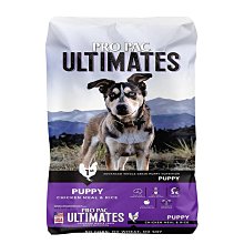 PROPACK电池 9号AAAA电池 E96/1.5VLR61触控笔电磁笔手写笔电池 歷史價格詳細信息