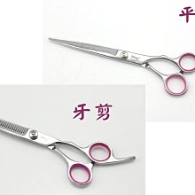 魁首狼專業理髲剪刀美髮剪套裝髮型師剪髮剪刀工具牙剪平剪理髲師 歷史價格詳細信息