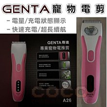 【原廠】coco可可奇奈爾frances大號氣質生包斜挎手提包 歷史價格詳細信息