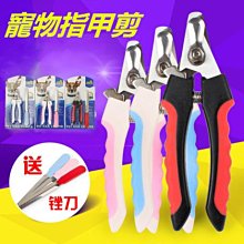 寵物用品 狗狗猫咪洗澡手套 大小型犬搓澡的手套 廚房矽膠洗碗手套 家務清潔手套 歷史價格詳細信息