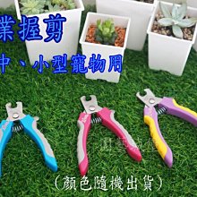 【園藝城堡】 4.5寸黑軟盆100個/組 歷史價格詳細信息