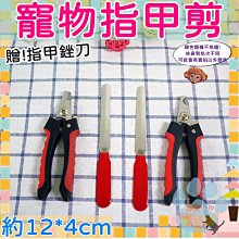 寵物指甲剪含銼刀  蝦皮團購【小麥購物】24H出貨台灣現貨【Y290】寵物指甲剪 寵物用品 寵物美甲 指甲 指甲剪鉗 歷史價格詳細信息