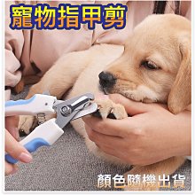 寵物指甲剪A1P42-番易防剪血線用品貓咪剪刀大型犬打磨小中貓 歷史價格詳細信息