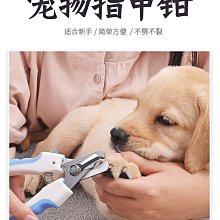 狗狗指甲剪磨一體電動磨甲器神器寵物打磨器照血線貓咪專用剪刀鉗 歷史價格詳細信息