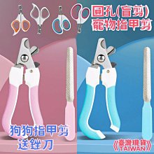 『伊果~現貨秒出』挑戰最便宜 狗狗發聲玩具 狗玩具 磨牙玩具 耐咬解悶 花生 玉米 耐咬玩具 啾啾玩具 你丟我撿 歷史價格詳細信息