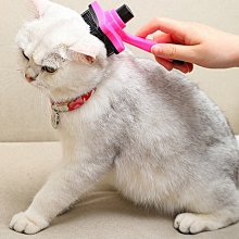 【除毛梳】可用水洗 除毛清潔兩用梳 濕巾除毛梳 歷史價格詳細信息