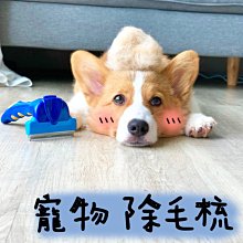 寵物 梳子狗狗氣囊 針梳 貓咪用品開結去浮毛梳毛脫毛刷 歷史價格詳細信息