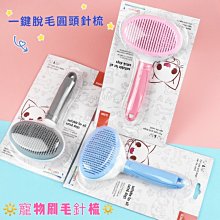 【台灣現貨】細針短筒童襪 條紋款【1雙】兒童襪/短襪/低筒襪/除臭襪/童襪/女襪/透氣/竹炭紗/型號:A212【FAV】 歷史價格詳細信息