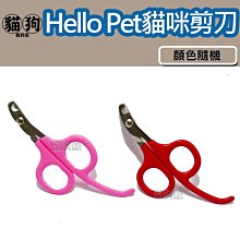 寵到底-PET PAL 沛貝兒3.5吋潔白耐咬骨3入,磨牙,潔牙,狗零食,牛皮骨,潔牙骨 歷史價格詳細信息