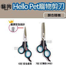 寵到底-PET PAL 沛貝兒3.5吋潔白耐咬骨3入,磨牙,潔牙,狗零食,牛皮骨,潔牙骨 歷史價格詳細信息