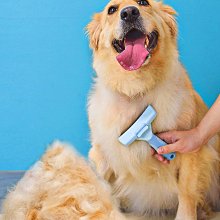 寵物狗狗用品大全貓梳子專用梳毛刷大型犬狗毛貓毛梳泰迪去浮毛梳-興龍家居 歷史價格詳細信息