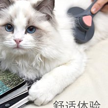 自潔寵物針梳 狗毛刷泰迪金毛阿拉斯加大型犬梳毛器 全店滿400元發貨 小琦琦の店 歷史價格詳細信息