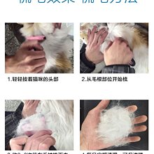 精品寵物梳子貓咪狗狗梳毛專用泰迪金毛狗毛針梳毛刷貓去浮毛神器用品 歷史價格詳細信息