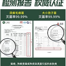 精品寵物梳子貓咪狗狗梳毛專用泰迪金毛狗毛針梳毛刷貓去浮毛神器用品 歷史價格詳細信息