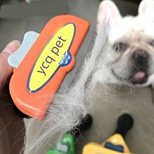 【梳子柯】小半弧鬃加針梳h2(鬃毛斜捲梳鬃毛梳鬃毛木柄捲梳鬃梳天然鬃毛圓梳豬鬃梳木柄圓梳豬毛梳豬鬃圓梳耐熱圓梳螺旋梳 歷史價格詳細信息